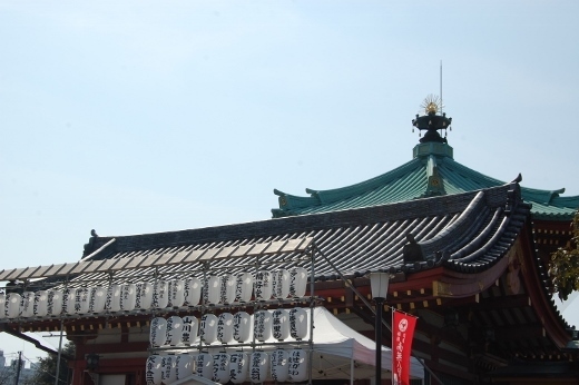 DSC_0313 (520x346).jpg