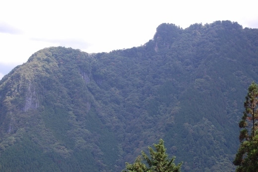 DSC_0465 (520x346).jpg