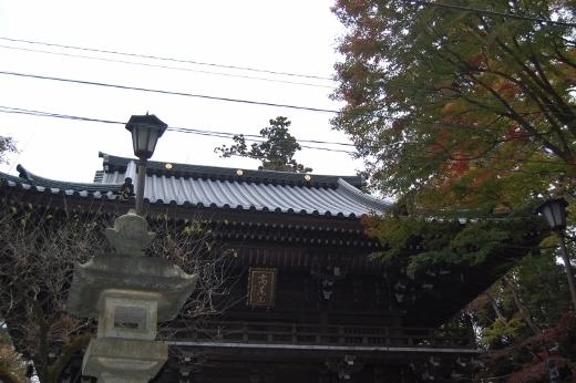DSC_0467 (520x346).jpg