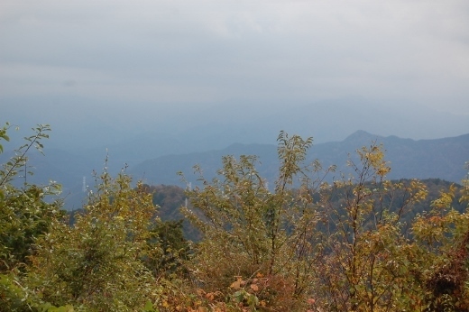 DSC_0487 (520x346).jpg
